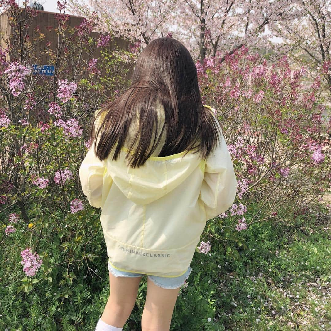 ウンチェさんのインスタグラム写真 - (ウンチェInstagram)「🌸 오전엔 흐리더니 , 오후엔 쨍쨍 ☀️ . . . #완연한봄#봄나들이#꽃구경#주말#일상 #간절기필수템#통기성좋은#슝슝자켓 #네파키즈#네파키즈방풍자켓#네파키즈자켓 #네파키즈메쉬믹스방풍자켓#네파키즈슝슝자켓」4月21日 20時30分 - __leehye