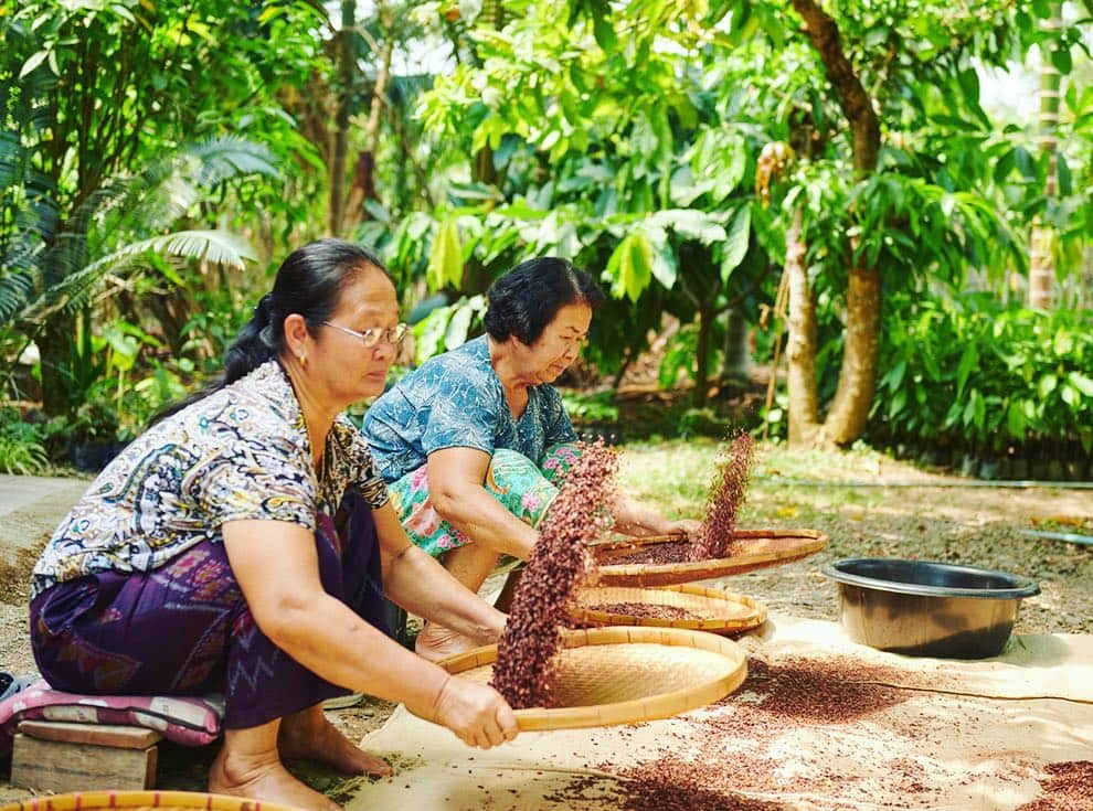 タイ国政府観光庁さんのインスタグラム写真 - (タイ国政府観光庁Instagram)「今週の注目スポット、ナーン県の観光スポット「ココア・バレー・リゾート」へGO😊👍﻿ ﻿ 「ココア・バレー・リゾート」は、オーガニックのカカオ農園を所有するリゾートで、農園で穫れたカカオを使ったチョコレートを味わえるカフェや、ナーンの自然を満喫できる宿泊施設があります✨﻿ ﻿ リゾート内のファクトリーでは、カカオニブからチョコレートを作るワークショップも開かれているので、ぜひトライを！ 作ったチョコレートをお土産にすることができます🍫﻿ ﻿ #タイ #ナーン #ココアバレー #カカオ農園 #チョコレート #チョコレート好き #ビーントゥバー #こんなタイ知らなかった #タイを知りつくす #タイ旅行 #旅好きな人と繋がりたい #旅行好きな人と繋がりたい #thailand #Nan #norththailand #amazingthailand #thailandtravel #thailandtrip #thai #thaistagram #lovethailand #localexperience #cacao #chocolate﻿ ﻿」4月21日 20時39分 - amazingthailandjp