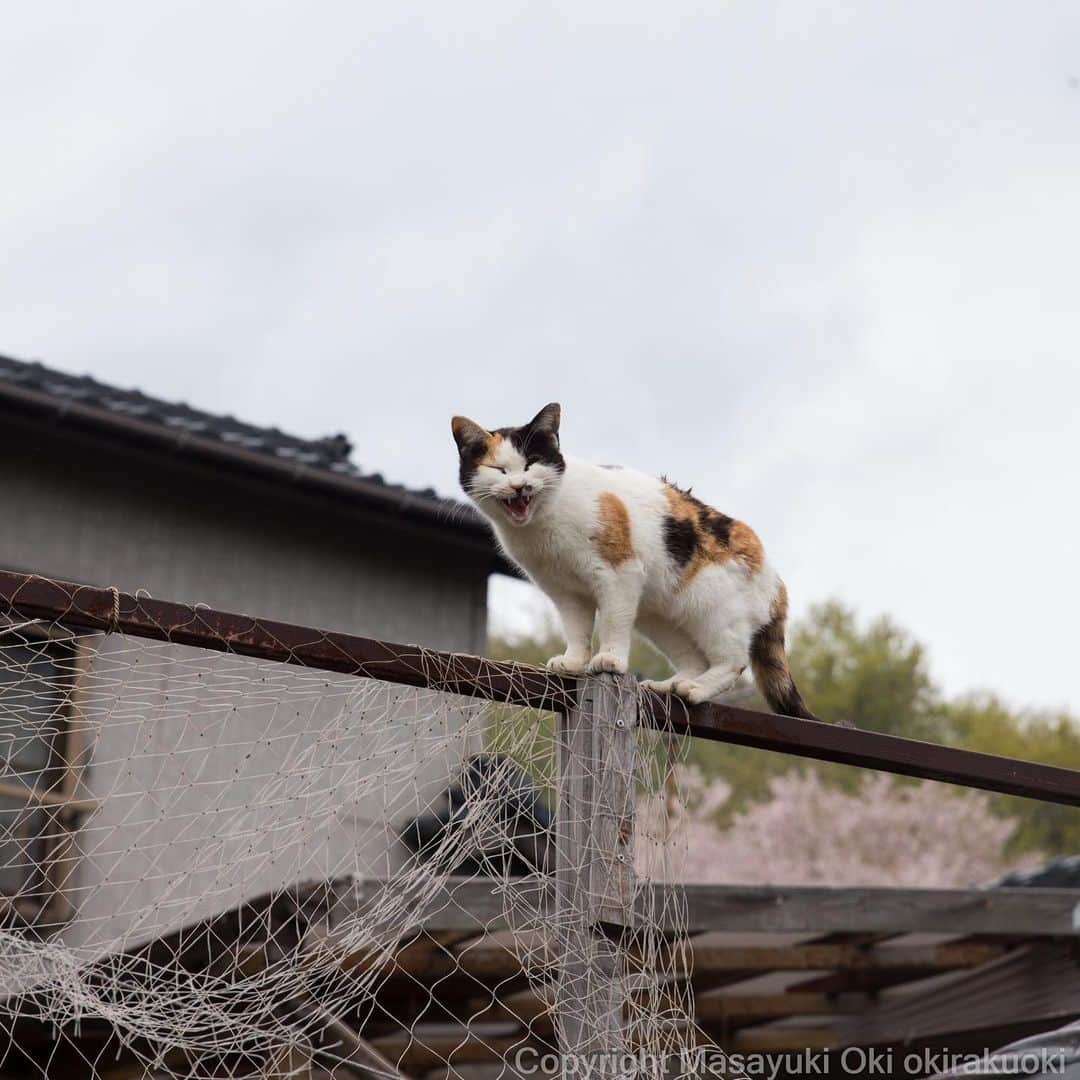 Masayukiのインスタグラム