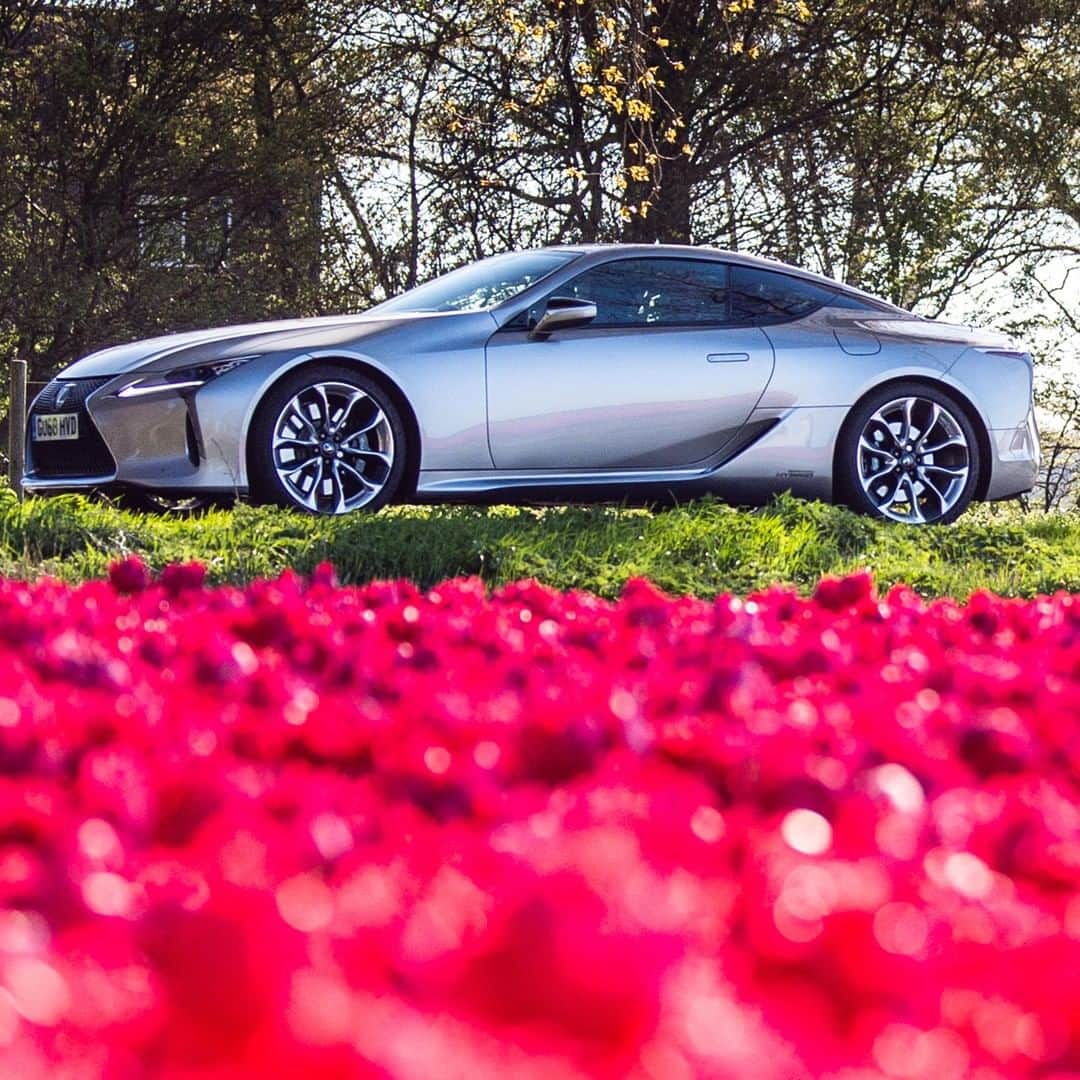 Lexus UKさんのインスタグラム写真 - (Lexus UKInstagram)「The #LexusLC in full bloom.  #Design #CarDesign #Automotive #Lexus #Tulips #Holland #Roadtrip #LuxuryTravel」4月21日 21時00分 - lexusuk