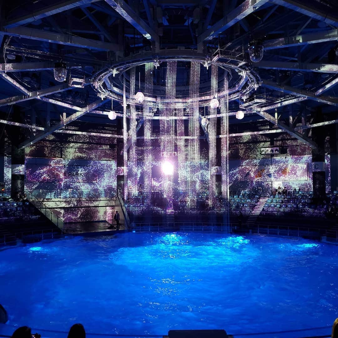mam（まむ）さんのインスタグラム写真 - (mam（まむ）Instagram)「イルカショーがすごかったのにショー見るのに夢中でイルカの写真撮ってない。 あざらし可愛かったけど我慢した。つらい。 皆は水族館行ったりする？どの海の生き物が好き？」4月21日 21時08分 - mam_11_11