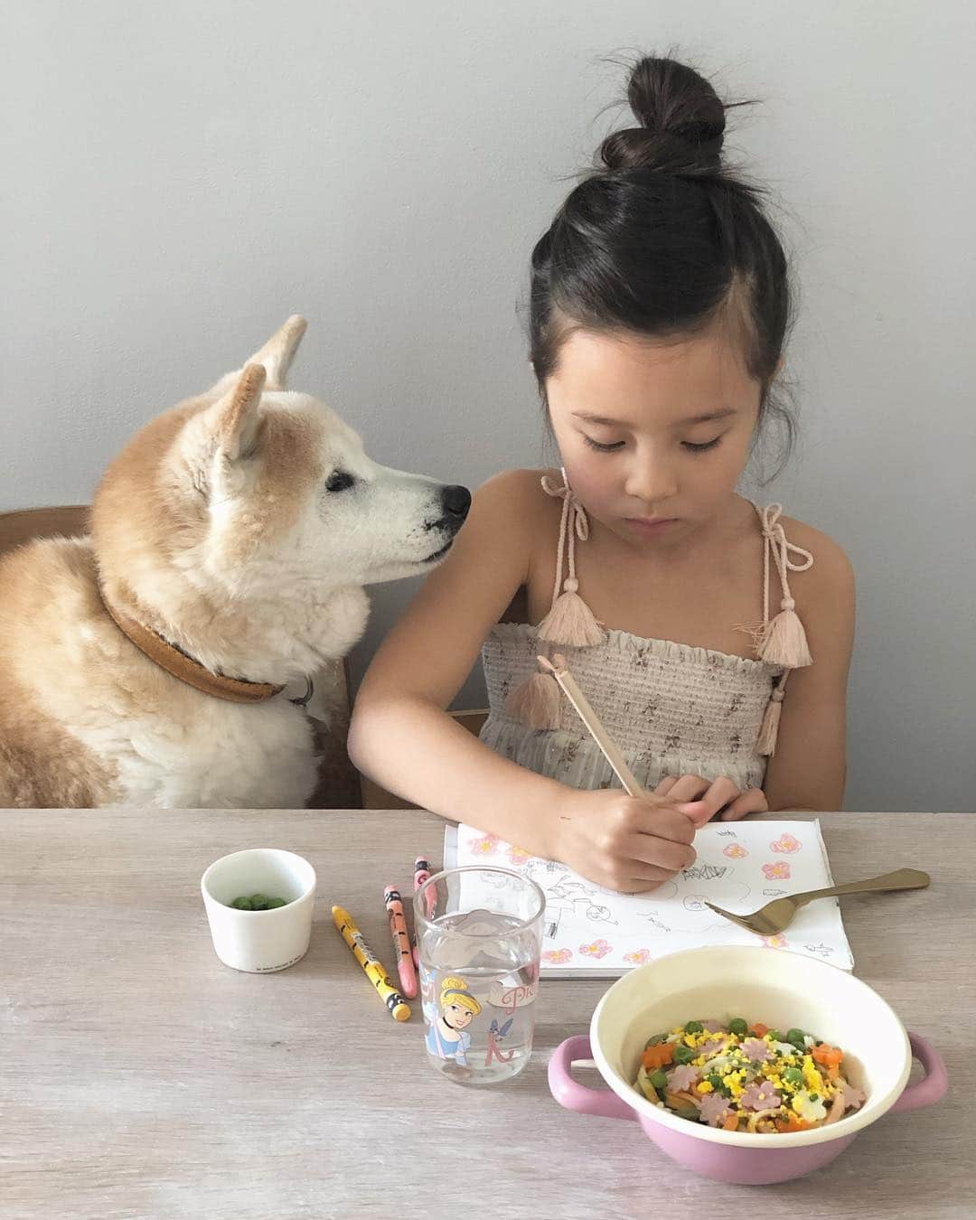 フィロとポンポンのインスタグラム