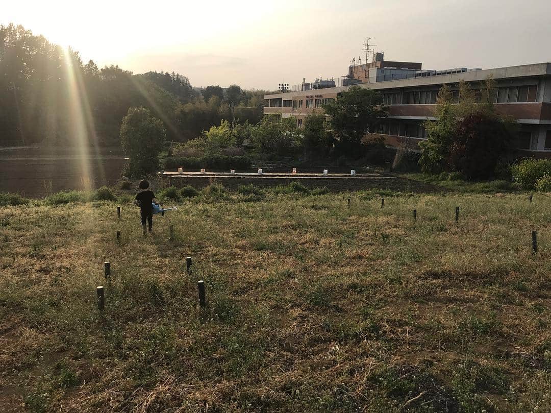 Shogoさんのインスタグラム写真 - (ShogoInstagram)「仲間や家族と土に触れて、休憩して、耕して汗かいて、お茶して、笑いながら畝作って、いつの間にか夕方になって。  こんな幸せな週末があったんですね。  本当に農って素晴らしい。  #農 #マイファーム  #幸せ #キモチE #velbed農園  https://myfarm.co.jp」4月21日 21時31分 - shogo_velbed