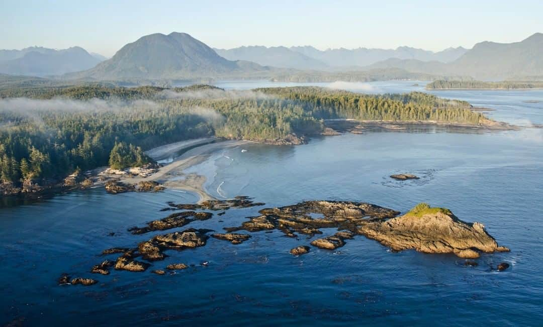 National Geographic Travelさんのインスタグラム写真 - (National Geographic TravelInstagram)「Photo by @bertiegregory | The west coast of Vancouver Island is home to an incredible ecosystem consisting of rainforest covered mountains which drop all the way down to a wave battered shoreline.Sadly much of this coast’s old growth rainforest has been lost to logging. We must protect the forest that’s left, not only because it’s beautiful and a home to countless creatures, but because like all forests, it gives us so many things that we take for granted like the fresh air we breathe. #britishcolumbia #photography #wildlife #coast」4月21日 22時03分 - natgeotravel