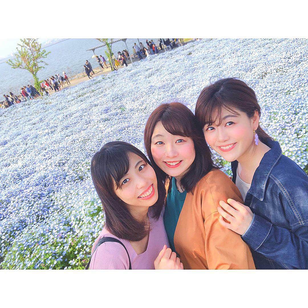 澤口実歩さんのインスタグラム写真 - (澤口実歩Instagram)「ネモフィラ祭りに😊✨ 大好きな同期と。 いつも心を支えてもらっています  #舞洲シーサイドパーク  #ネモフィラ #青い花 #青い空 #青い海」4月21日 22時24分 - miho_sawaguchi