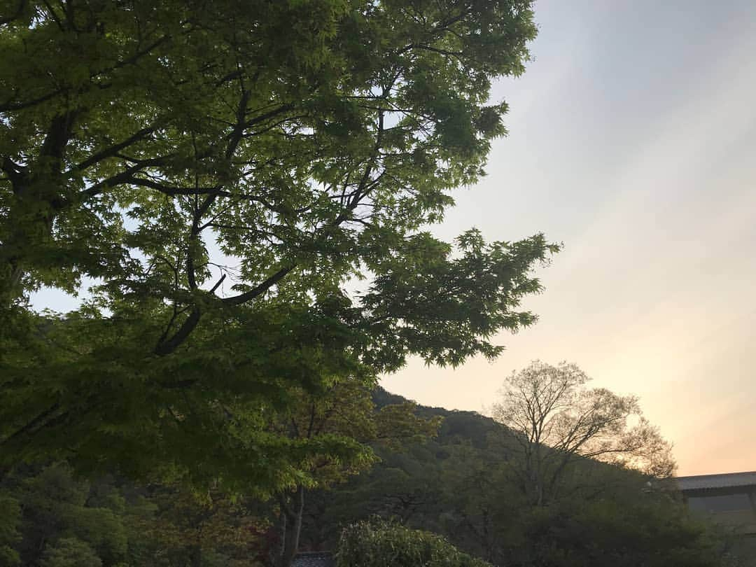 土屋太鳳さんのインスタグラム写真 - (土屋太鳳Instagram)「空がすっかり初夏の雰囲気🌿✨ 私は少しどたばたしていて 移動時間はあったのですが 提出物を整えていたりして なかなか更新できずにいました💦 でもいろんなことが前向きに進んでるので 情報公開を待っていていただけたらと 思います😊✨✨ しばらくぶりにお会いできた方々は やっぱり最高で 私の感覚の斜め上をいくお話に 感動したり驚いたり爆笑したり。 でも思うのは 「実現する」って凄いことだと思うんですよね。 こうしてみたいとか こういうことがあったらいいのに だけじゃなくて 本当にそれを形にするって ものすごいことだと思うんです。  ０を１にするエネルギーを持つ方々。 私の周りにはこんな凄い方々がいらしたんだなと あらためて思い知る時間でもありました。 過ごした時間は熱いけれど 空はとてもおだやかだったので 柔らかい空気を、おすそわけ✨」4月21日 22時25分 - taotsuchiya_official