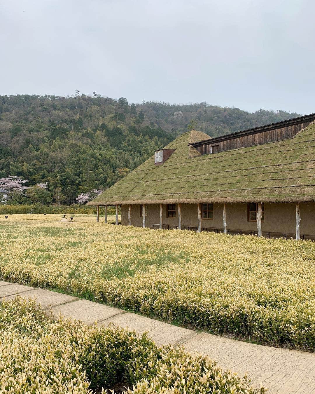 aachann7のグルメインスタ