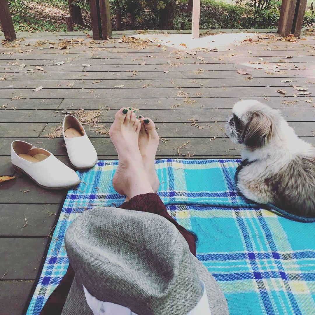 浜島直子さんのインスタグラム写真 - (浜島直子Instagram)「正しい休日。 最&高✨🌳☘️🌼🌱🍷🍙 ・ #ピクニック #北の丸公園 #このコラボした靴も #最高❣️ @liveincomfort_felissimo」4月21日 22時36分 - hamaji_0912