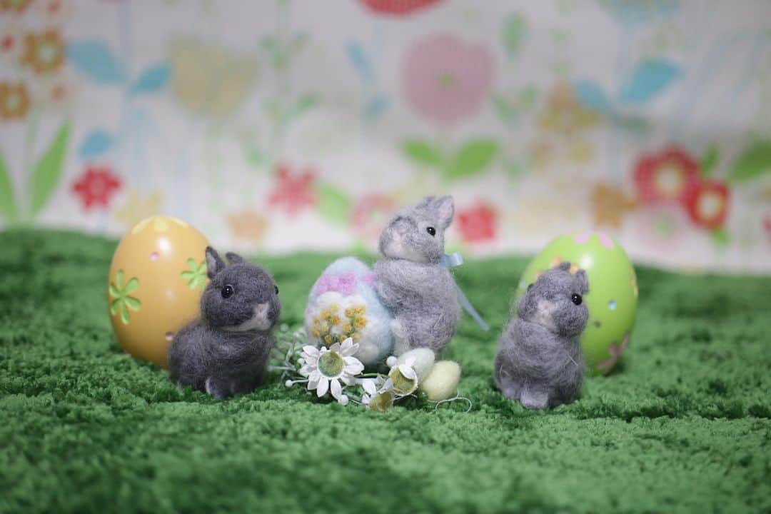 のインスタグラム：「HAPPY EASTER🐰🥚🐣 #mofumofuうさぎ」