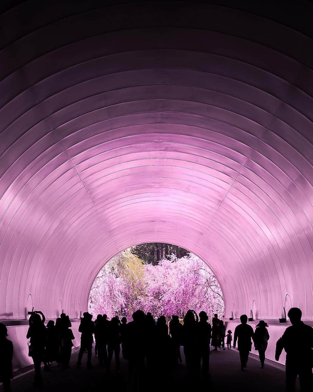 s_shoheyのグルメインスタ