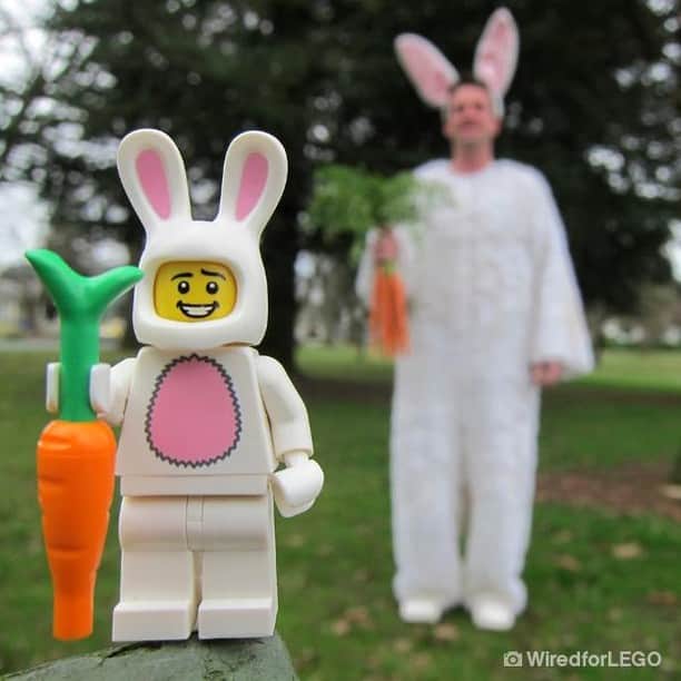 LEGOさんのインスタグラム写真 - (LEGOInstagram)「Easter duties can be tough…🥕🐇 Who can relate? 😆 #legoeaster #legogram #LEGO #UGC #FanMade #relatable 📸 Credit to Chris Christian & Galen Stevens! Check them out on Facebook: www.facebook.com/Wiredforlego/」4月21日 23時00分 - lego