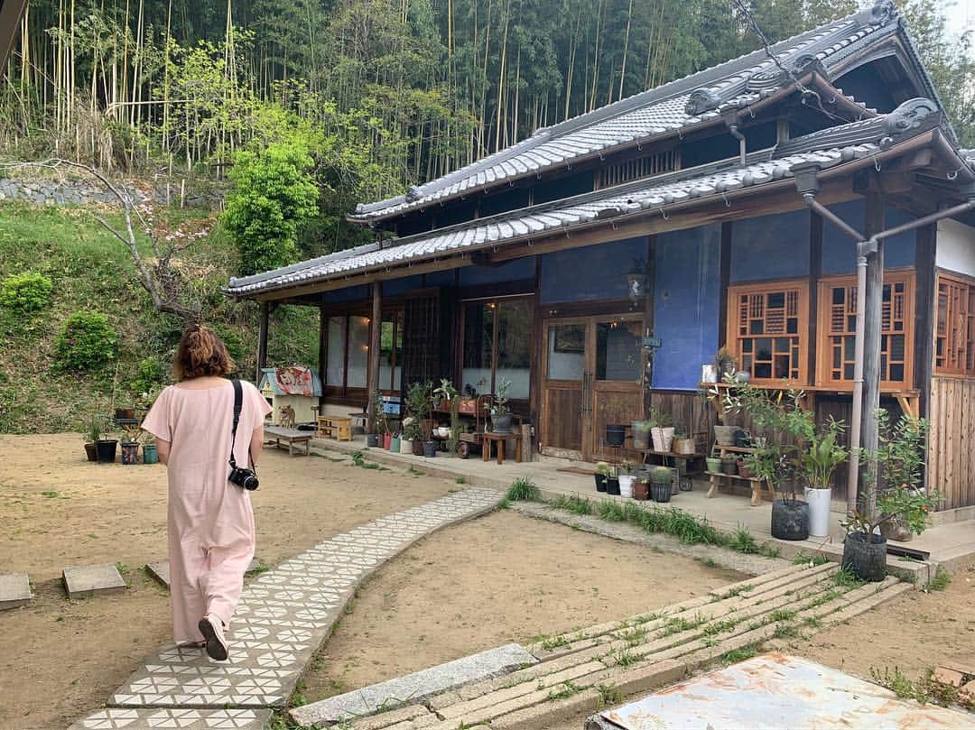 青山有紀のグルメインスタ