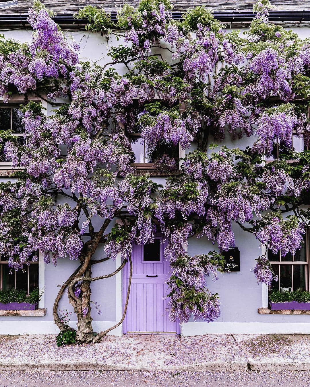 リリー＝ローズ・メロディのインスタグラム：「Door portrait 🌿 // How incredible is this facade ?! You should have seen my face when I randomly passed by this incredible facade 😳😱! Perfection!」