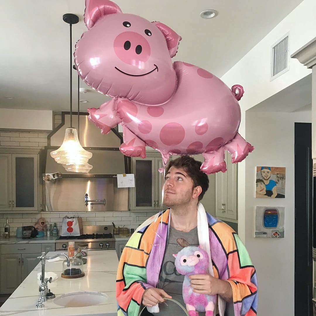 シェーン・ドーソンのインスタグラム：「easter pigs 🐷🍬🐇」