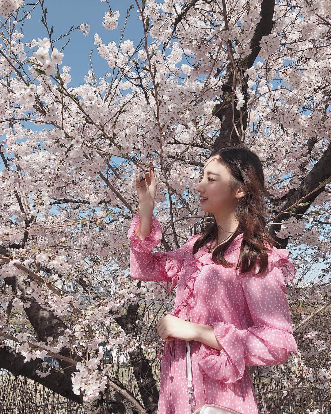 田代ひかりさんのインスタグラム写真 - (田代ひかりInstagram)「桜🌸写真🤳 顔に桜🌸の影だらけの写真ばかりなんだけど、これで桜🌸の写真は終わり〜！ またいつか韓国で桜🌸見れますように😌🇰🇷」4月22日 1時15分 - tashiro_hikari