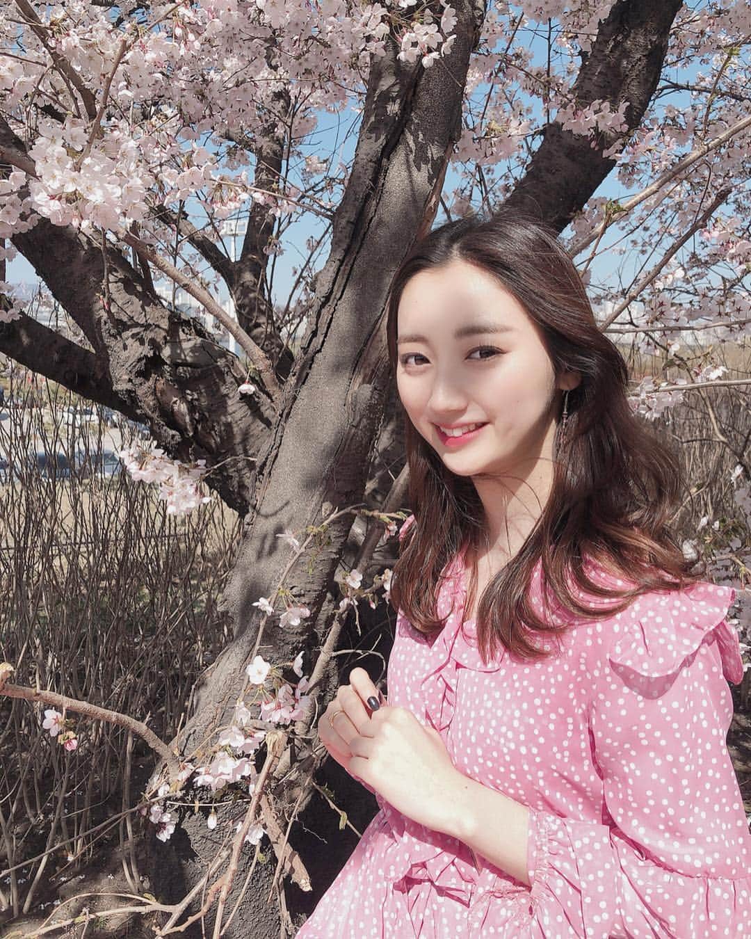 田代ひかりさんのインスタグラム写真 - (田代ひかりInstagram)「桜🌸写真🤳 顔に桜🌸の影だらけの写真ばかりなんだけど、これで桜🌸の写真は終わり〜！ またいつか韓国で桜🌸見れますように😌🇰🇷」4月22日 1時15分 - tashiro_hikari