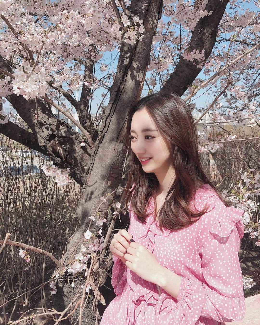 田代ひかりさんのインスタグラム写真 - (田代ひかりInstagram)「桜🌸写真🤳 顔に桜🌸の影だらけの写真ばかりなんだけど、これで桜🌸の写真は終わり〜！ またいつか韓国で桜🌸見れますように😌🇰🇷」4月22日 1時15分 - tashiro_hikari