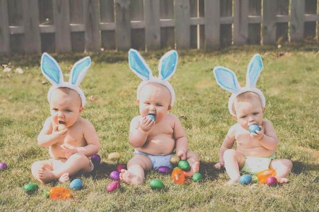 エレン・デジェネレスさんのインスタグラム写真 - (エレン・デジェネレスInstagram)「Happy Easter to everybunny.」4月22日 1時39分 - ellendegeneres