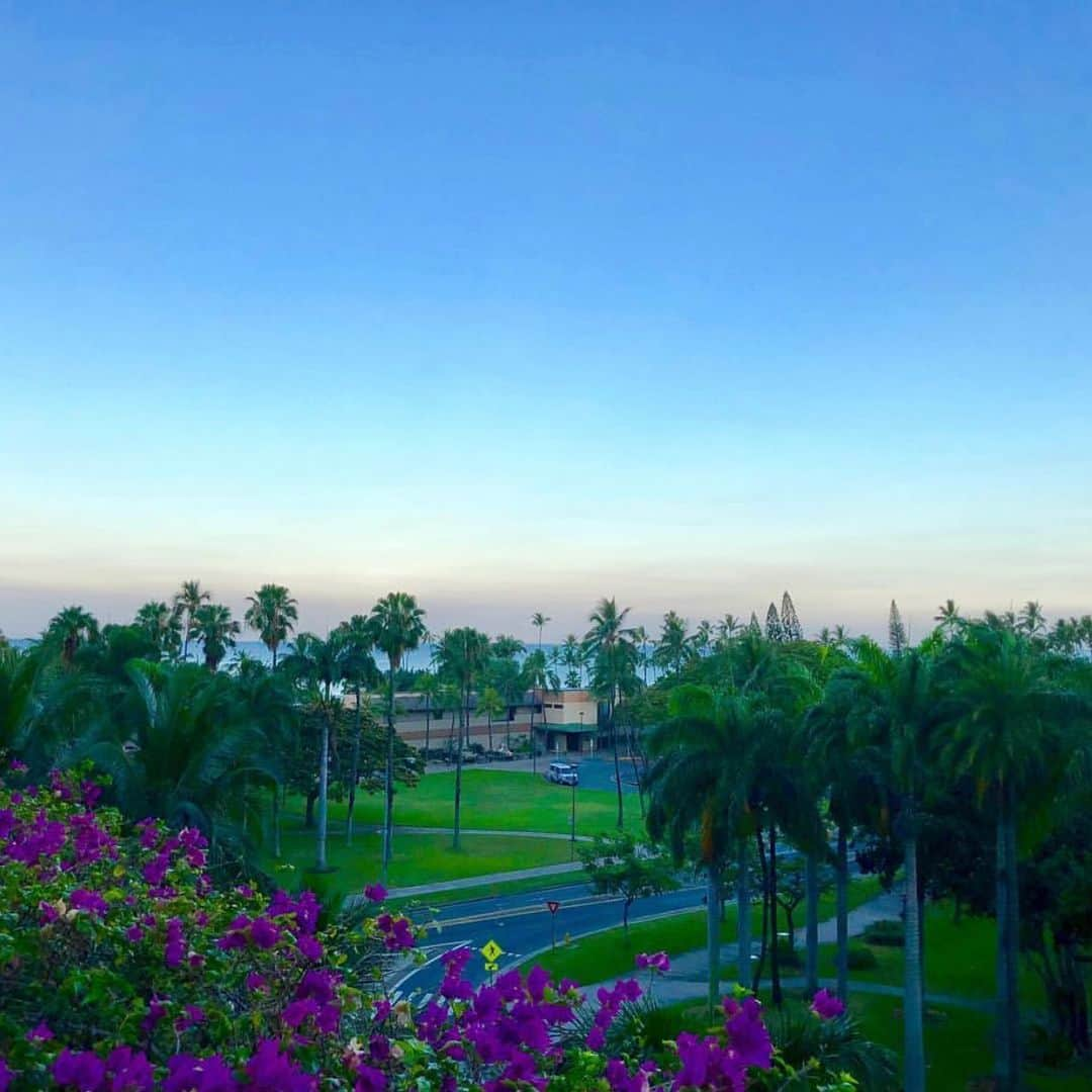 Trump Waikikiさんのインスタグラム写真 - (Trump WaikikiInstagram)「There's a soft glow in the early morning sky - a beautiful start to this Easter Sunday holiday today. #trumpwaikiki #neversettle #Easter #sunrise  ダイヤモンドヘッドの方から柔らかな朝日がさしました。今日はイースターの祝日です。  #トランプワイキキ #イースター  #イースターの朝」4月22日 2時10分 - trumpwaikiki