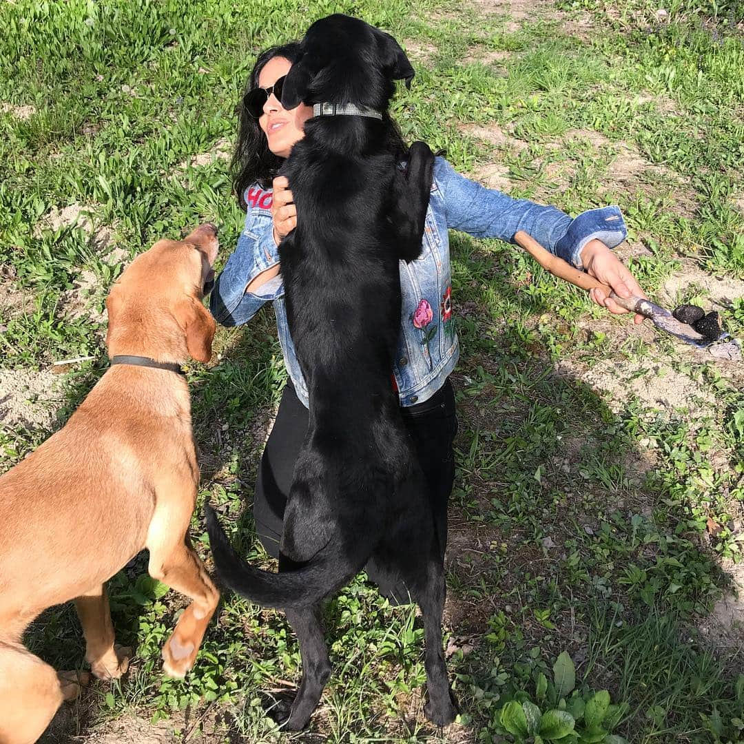 サルマ・ハエックさんのインスタグラム写真 - (サルマ・ハエックInstagram)「This #easter instead of hunting for eggs I went #trufflehunting with the help of Zara and Mala. Hoy en vez de encontrar huevos de #chocolate encontré trufas con la ayuda de Zara y Mala que por suerte era muy buena perrita. #croatia #dog #happyeaster」4月22日 2時25分 - salmahayek