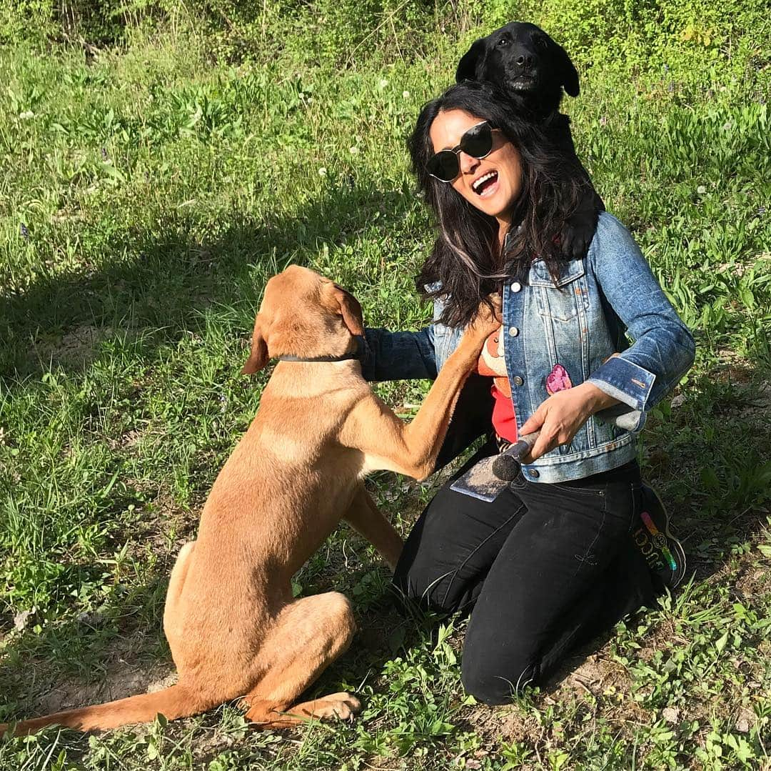 サルマ・ハエックさんのインスタグラム写真 - (サルマ・ハエックInstagram)「This #easter instead of hunting for eggs I went #trufflehunting with the help of Zara and Mala. Hoy en vez de encontrar huevos de #chocolate encontré trufas con la ayuda de Zara y Mala que por suerte era muy buena perrita. #croatia #dog #happyeaster」4月22日 2時25分 - salmahayek