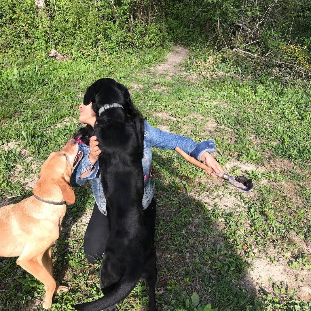 サルマ・ハエックさんのインスタグラム写真 - (サルマ・ハエックInstagram)「This #easter instead of hunting for eggs I went #trufflehunting with the help of Zara and Mala. Hoy en vez de encontrar huevos de #chocolate encontré trufas con la ayuda de Zara y Mala que por suerte era muy buena perrita. #croatia #dog #happyeaster」4月22日 2時25分 - salmahayek