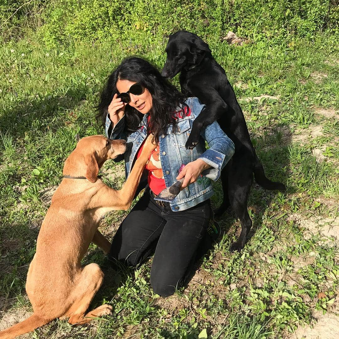 サルマ・ハエックさんのインスタグラム写真 - (サルマ・ハエックInstagram)「This #easter instead of hunting for eggs I went #trufflehunting with the help of Zara and Mala. Hoy en vez de encontrar huevos de #chocolate encontré trufas con la ayuda de Zara y Mala que por suerte era muy buena perrita. #croatia #dog #happyeaster」4月22日 2時25分 - salmahayek