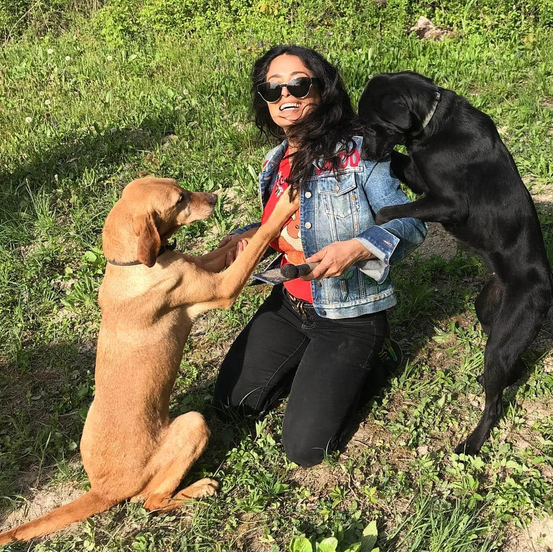 サルマ・ハエックさんのインスタグラム写真 - (サルマ・ハエックInstagram)「This #easter instead of hunting for eggs I went #trufflehunting with the help of Zara and Mala. Hoy en vez de encontrar huevos de #chocolate encontré trufas con la ayuda de Zara y Mala que por suerte era muy buena perrita. #croatia #dog #happyeaster」4月22日 2時25分 - salmahayek