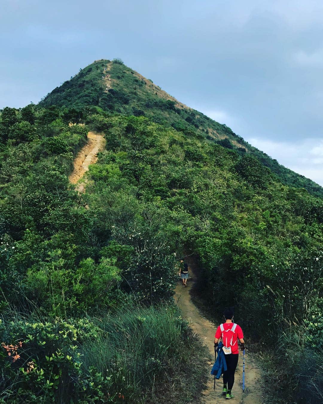 スティーブン・チョンのインスタグラム：「好掛住喺香港行山嘅日子 #針山 #我愛野外露岀 #我中意行山」