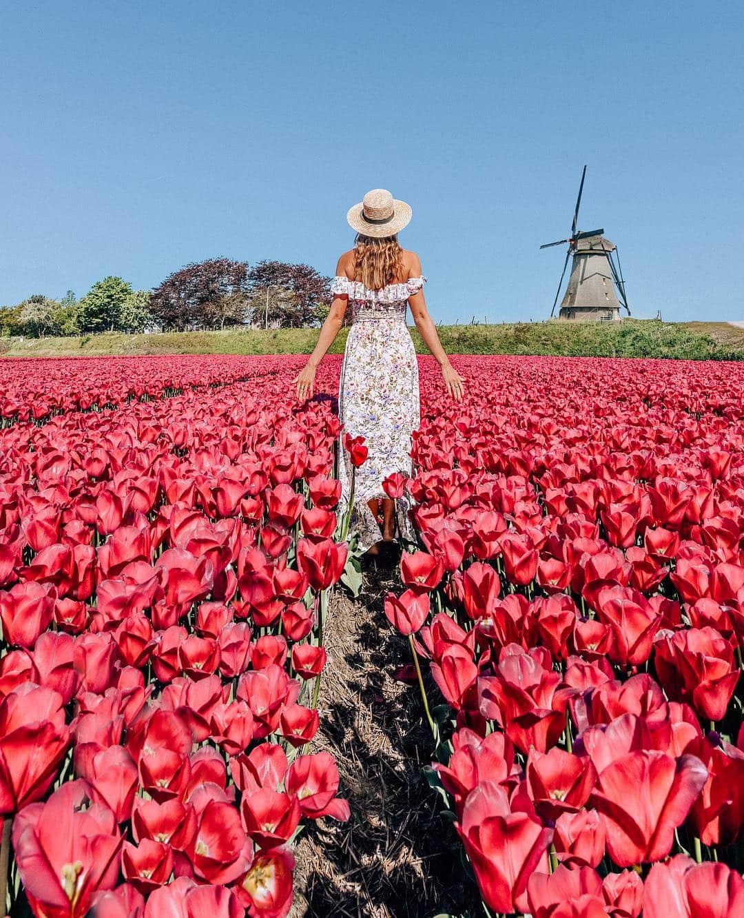 Izkizのインスタグラム：「Tulips & a windmill, does it get more Dutch than that? 😃🌷 Where is your favourite place in Spring? ✦ ✦ ✦  On a side note: I had permission to be in this tulip field but I have seen many people trampling the flowers in order to get a photo or a selfie. Did you know that every year farmers suffer hundreds of thousands of euros worth of damage due to people wading through their flower fields & crushing the tulips? Please always be respectful about it and never pick the flowers! 💐」