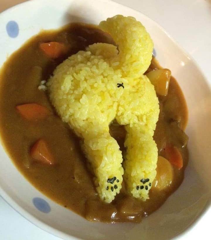 9GAGさんのインスタグラム写真 - (9GAGInstagram)「The curry butt I didn't ask for⠀ -⠀ By marinamiries | TW⠀ -⠀ #curry #rice #9gag」4月22日 14時44分 - 9gag
