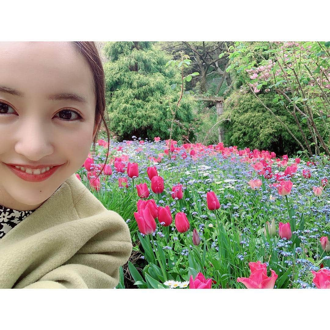 板野友美さんのインスタグラム写真 - (板野友美Instagram)「🌷🌷🌷 毎日温かくて 今の気温すきだなぁ。 今日も皆さんに素敵な1日を…💓」4月22日 13時15分 - tomo.i_0703