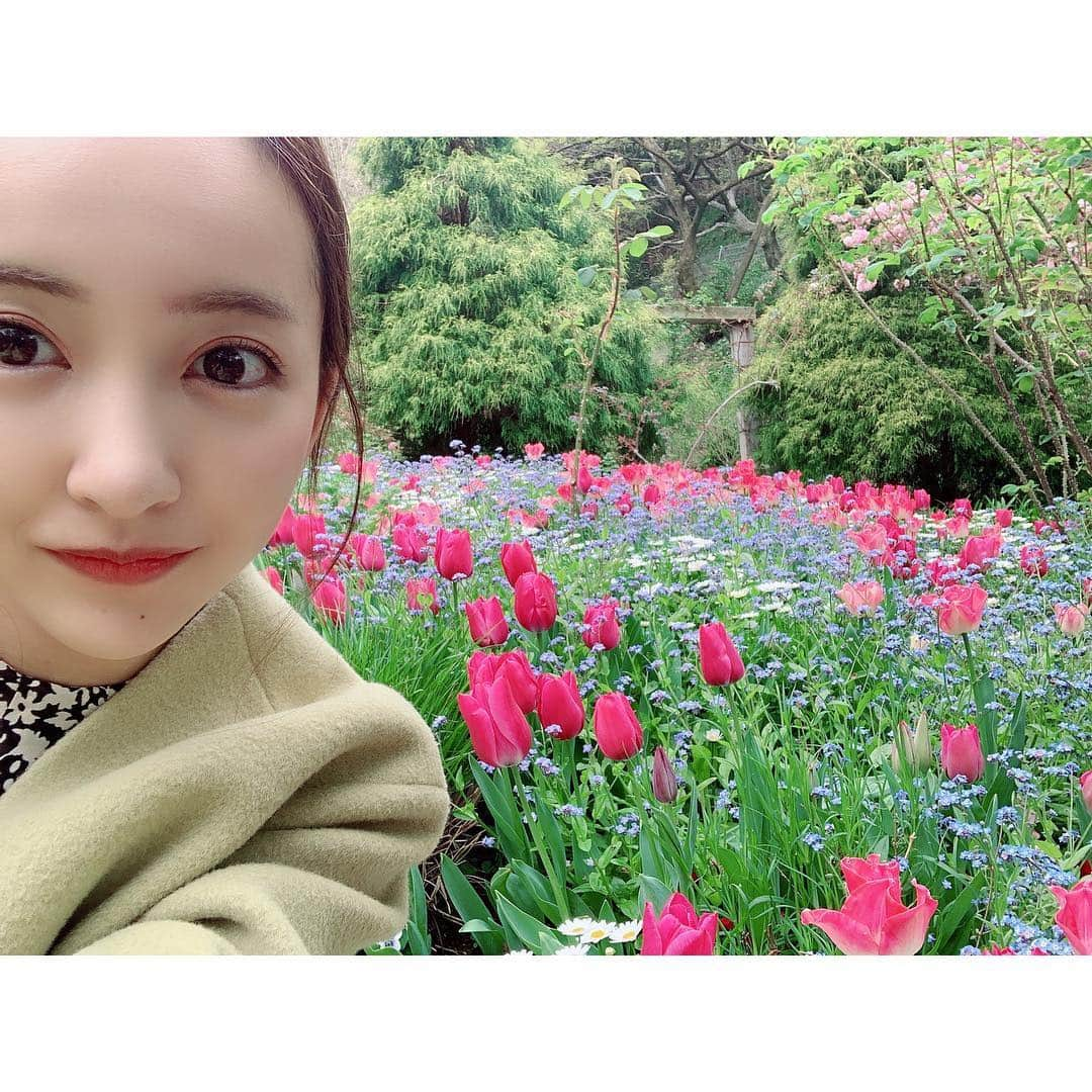 板野友美さんのインスタグラム写真 - (板野友美Instagram)「🌷🌷🌷 毎日温かくて 今の気温すきだなぁ。 今日も皆さんに素敵な1日を…💓」4月22日 13時15分 - tomo.i_0703