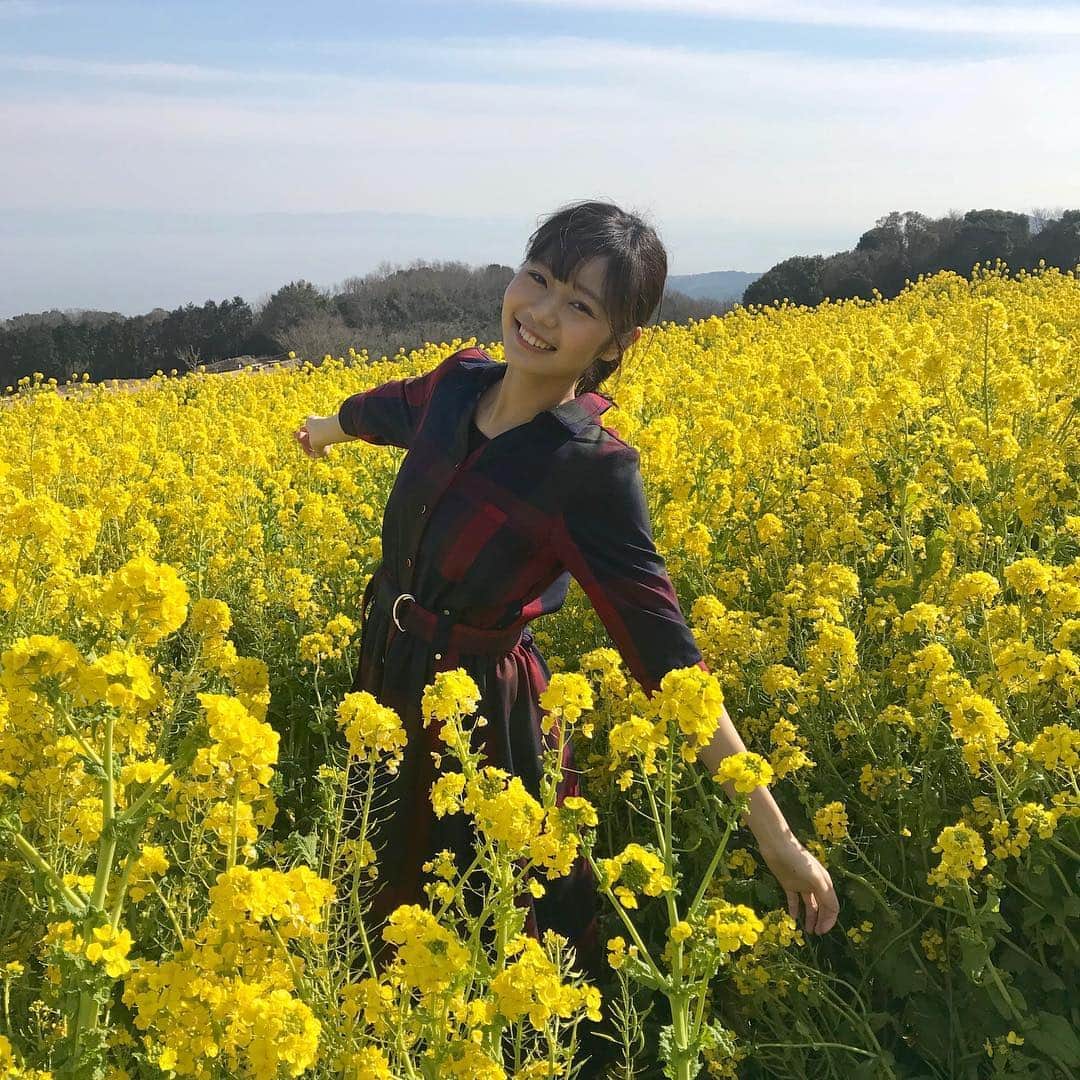 杉浦みずきのインスタグラム：「. 1ヶ月以上も前のことですが笑 家族で淡路島にドライブにいった時に妹が撮ってくれた写真がたくさんあったので🌼 ここの菜の花畑は 私が大好きな、朝ドラ『あさが来た』の最終回のロケ地だったんです！！ あさが天国の旦那様と再会して若返るあの名シーン😳 思い出しただけで目に水が湧き出てきそう😳 この菜の花に囲まれている間は、気がつけばずーーっと歌っていました あさーの空をみあーげて 今日とーいう一日がー♪ ・ 最後の動画でうたっているのはそれです笑 ・ ・ #あわじはなさじき #あさが来た #365日の紙飛行機」
