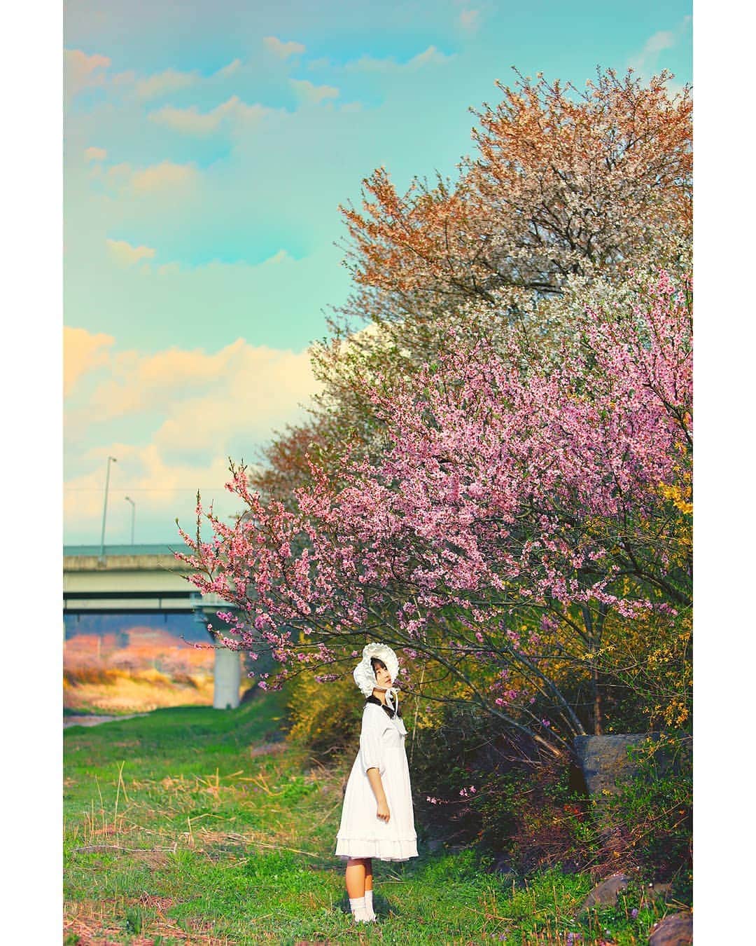 Photographer_善甫(선보)さんのインスタグラム写真 - (Photographer_善甫(선보)Instagram)「花开了的话你和我就要去迎接春天 🌺」4月22日 13時36分 - sunbostyle