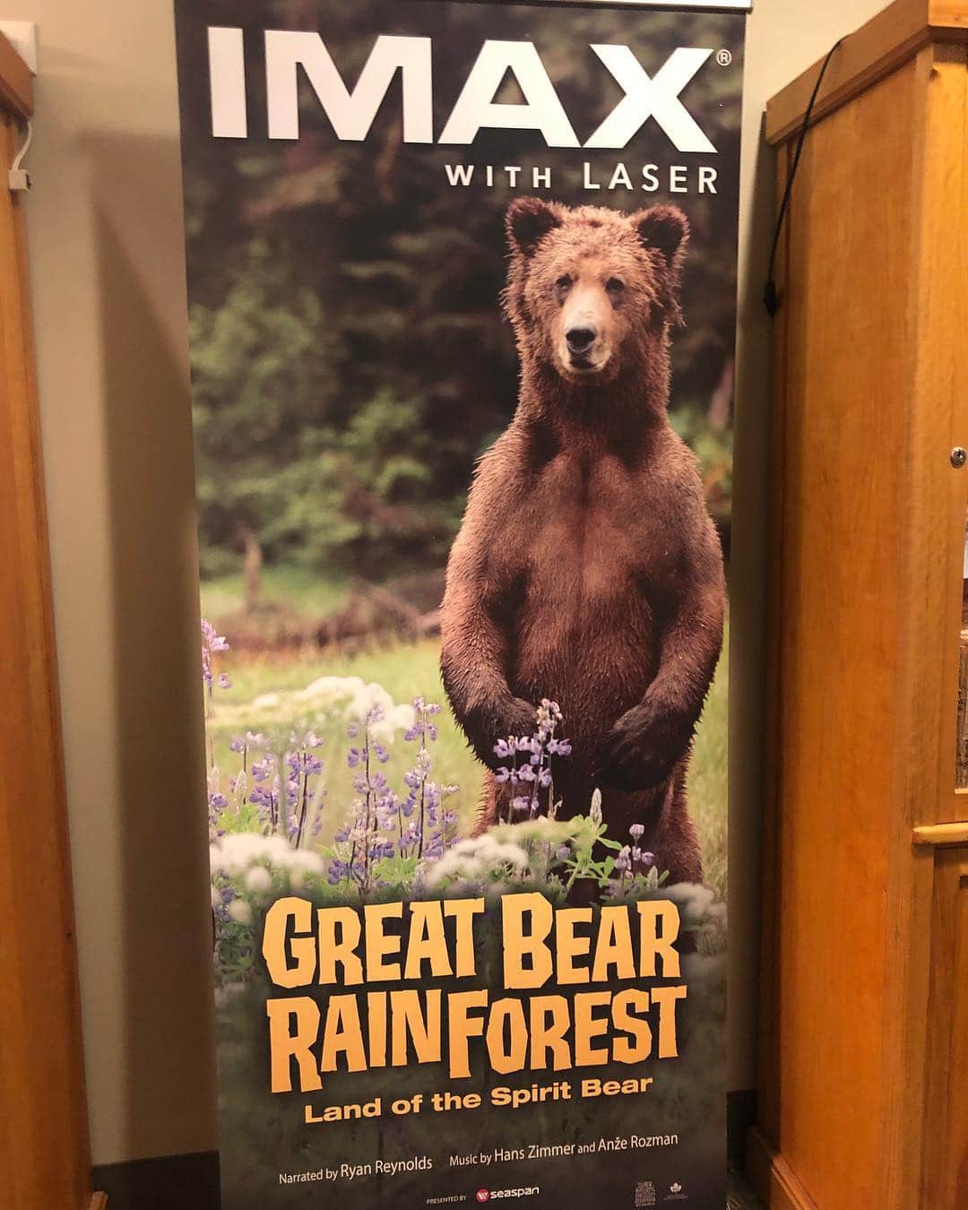 はねゆりのインスタグラム：「ImaxでGreat bear rainforestを観てきました。とっても素晴らしい映像で自然や動物が生き生きと目の前にいるかのように撮影されていました。冒頭の自然を写すシーンは「こんな美しいほし(地球)に私達は生きているんだな、生かされてるんだな」と息を飲むものでした。日々を生きること、食べ物を得ることを命がけでしている動物たちには本当に敵わないなと。人間はなんて恵まれているんだろう。そして、動物達を環境を守らなきゃいけない立場なんだと改めて感じました。」