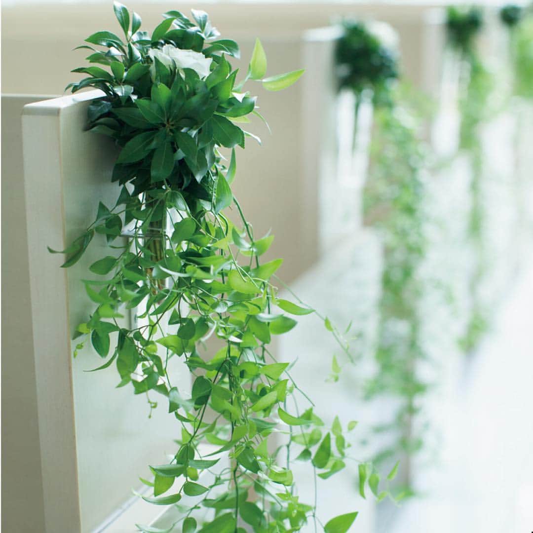 RIVIERA WEDDING　リビエラ ウェディング　公式のグルメインスタ