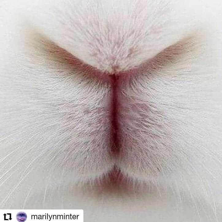 ガソリングラマーさんのインスタグラム写真 - (ガソリングラマーInstagram)「#Repost @marilynminter • • • • • • Happy Easter 🐇🐰🐇🐰🐇🐰」4月22日 6時21分 - gasolineglamour