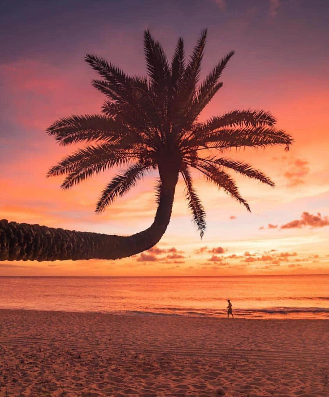 Awesome Wonderful Natureさんのインスタグラム写真 - (Awesome Wonderful NatureInstagram)「Hawaiian Sunset Photo by @vincelimphoto  #fantastic_earth」4月22日 6時36分 - fantastic_earth