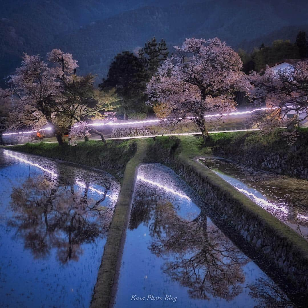 コサさんのインスタグラム写真 - (コサInstagram)「数年ぶりに三多気の桜に行ってきました👍 夜明け前からスタンバイしてると、ヘッドライトをしたカメラマンが登ってきたところを頂きました📸 現地でお会いした皆様、ありがとうございました🙏 . Location:三重 Mie/Japan Data:2019.4.20 . #art_of_japan_ #tokyocameraclub #dpj_member #team_jp_ #IG_PHOS #photo_jpn #ptk_japan #pt_life_ #bestjapanpics #Lovers_Nippon #sorakataphoto #light_nikon #visitmie #japan_night_view_member #longexposure_japan #はなまっぷ #wp_flowers #as_桜2019 #花びら大回転2019 #rox_sp2019 #nipponpic_member #LBJ_members #japan_great_view #広がり同盟メンバー #Rox_Captures #special_spot_member #night_captures #ADDICTED_TO_NIGHTS #super_night_channel #photo_travelers」4月22日 7時28分 - kosa_photo