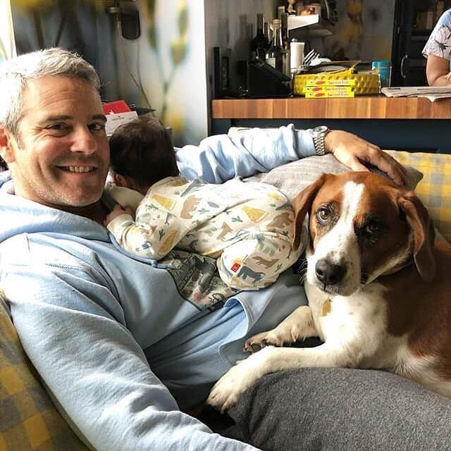 People Magazineさんのインスタグラム写真 - (People MagazineInstagram)「Baby's first Easter! 💖 Today is Andy Cohen's first time spending the holiday as proud papa to baby Benjamin, and they're spending time with lots of love and adorable snuggles. 💕| #Regram @bravoandy Happy Easter, from us. 🐰 🐶 👶」4月22日 7時32分 - people