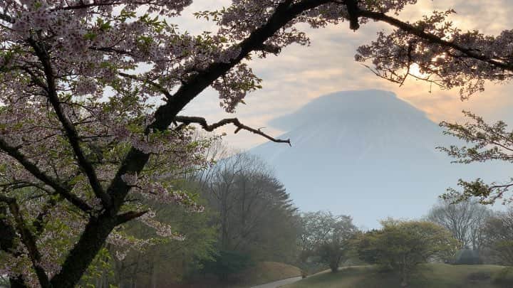 phantastic420のインスタグラム：「. 🤩🤩“Shizuoka” prefecture in Japan is a place where you can see the most “phantastic” Mt. Fuji🗻 in the world.🤩 #富士山 #mtfuji #japan #shizuoka #fujinomiya  #phantastic420photography #mostphantasticmtfuji #selamatpagi  #goodmorning  #おはようございます 😇😇😇😇😇😇😇🗻😇😇 今朝は遅刻してしまいました🤣笠が面白かったかもしれないのに😅」