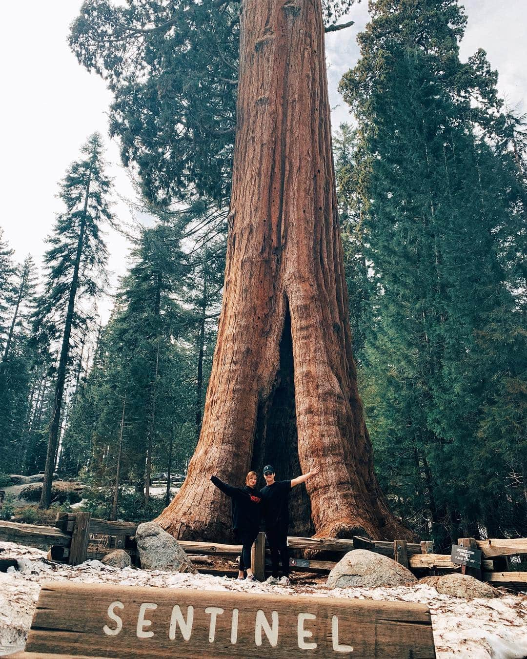 リザ・ソベラーノさんのインスタグラム写真 - (リザ・ソベラーノInstagram)「Family >>>>>>」4月22日 7時36分 - lizasoberano