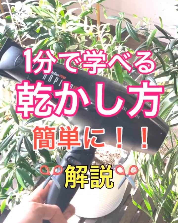 鶴谷和俊のインスタグラム：「【乾かし方】1分で学べる‼️乾かし方✂️解説 ・ セルフバージョン ・ ポイント解説 ①ガシガシタオルドライせず揉み込むような感じで根元の水分をとる。 毛先も揉むような感じで水分を取りましょう。 ②ウエット用ブラシで毛先から丁寧に根元まで とかす。 ③洗い流さないトリートメントをつける。 別動画を参照ください。 ④前髪が長いので後頭部から乾かします。 前髪が短い場合は前髪から乾かしましょう。 ⑤後頭部がペッタリしやすい方は下から風をあてましょう。 ⑥顔まわりにボリュームが欲しい方は前からドライヤーをあてる。 ⑦ボリュームダウンしたい方は上から下にドライヤーをあてる。 ⑧かきあげ前髪にする場合は まずは分け目と反対から乾かしてある程度、乾いたらいつもの分け目に戻すとふんわりします。 ⑨根元がしっかり乾けば毛先を上から下に 指で挟みながら乾かします。 ⑩最後に冷風をあてて完成。 ・ 是非‼️参考にしてくださいね🥴 ・ #ドライヤー #ドライヤー乾かし方 #シャンプー #シャンプーの仕方 #シャンプーやり方 #トリートメント仕方 #トリートメント #トリートメントやり方 #洗い流さないトリートメント #シャンプー動画 #トリートメント動画 #洗い流さないトリートメント付け方 #洗い流さないトリートメントやり方 #洗い流さないトリートメントつけ方 #シャンプーマニア #トリートメントマニア #髪質改善 #髪の毛 #髪質 #ダメージ #傷み #ヘアケア #ヘアケア製品 #乾燥 #パサつき #ひろがり #まとまり #細毛 #軟毛 #鶴谷和俊」