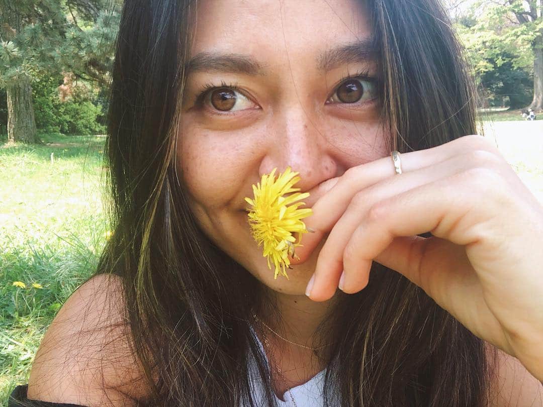 Tamikoのインスタグラム：「タンポポ 🌞🌿」