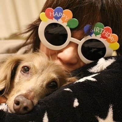 くるみんさんのインスタグラム写真 - (くるみんInstagram)「* 今日は可愛い可愛い、こむぎさんの10歳の誕生日🎂 Happy Birthday🎊  10年って、こんなに早いの？ もっと時間がゆっくり流れてほしいよ  今日は素敵なケーキが届くから、楽しみにしててね ②アホ飼い主との2ショット  #ミニチュアダックス #ミニチュアダックスフント #ミニチュアダックスフンド #イザベラ #イザベラタン #ダックスフンド #ダックス多頭飼い #ダックス #ダックスフント #誕生日 #お誕生日 #10歳 #おめでとう #わんこなしでは生きていけません会 #ワンコなしでは生きて行けません会 #いぬばか部 #いぬすたぐらむ #短足部 #dachshund_feature #dachs #dachshund #dogstagram #east_dog_japan #instagramdogs #inustagram #instadachs #kyounodachs #kyounowanko #todayswanko #7pets_1day」4月22日 8時38分 - michirumugiazu