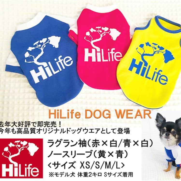 中倉隆道さんのインスタグラム写真 - (中倉隆道Instagram)「. 大人気ハワイブランド「HiLife」 @hilifestore のドッグウェア上陸🐕👕👚✨ . . ハワイワイキキにあるハワイブランド「HiLife」が今年もオリジナルドッグウェアを発売！ . 去年初めてお台場ハワイフェスティバルで販売して即完売と大好評♬ . . 今年もお台場ハワイフェスティバルで【限定枚数】販売です！！ . ラグラン袖は、赤と青の２色展開。 サイズはXSからLまで。 . 袖のレッドタグがアクセントになって可愛い♬ . . 4/27-5/6 お台場ハワイフェスティバル@ヴィーナスフォート . ヴィーナスフォートはわんこと一緒にお買い物できますよー♬ . . ウチの子も看板犬として居ますので遊びに来て下さーい♬ 一緒に写真撮りましょー . . オーナーさん用のウェアと一緒にドッグウェアをご購入頂くと犬服割り引きもありますよー！ . . #お台場ハワイフェスティバル2019 #お台場ハワイフェスティバル #hilife #hilifestore #犬服 #ドッグウェア #わんこ服 #ワンコ服 #ワンコ #ワンコのいる生活 #チワワ #愛犬 #チワワロング #luft #チワワ部 #강아지 #puppy #chihuahuas #10ワン10色親バカ会 #ベストドッグオーディション #わんことお出かけ #hawaii #hawaiibrand #ハワイ #ハワイブランド」4月22日 8時54分 - ryudo.tokyo