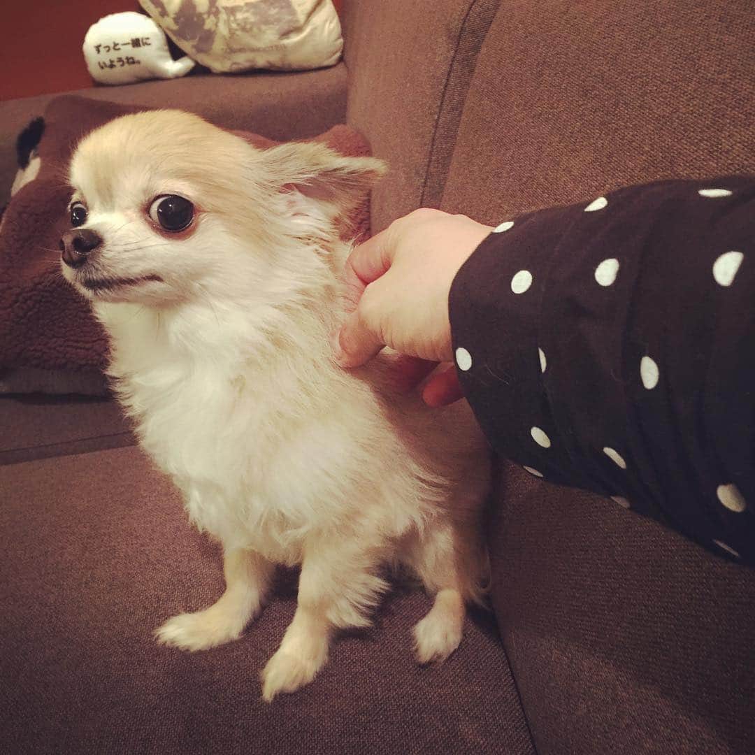 橋本塁のグルメインスタ