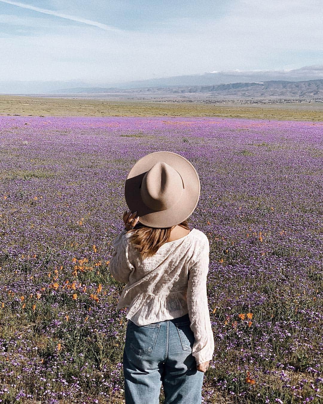 Manamiのインスタグラム：「Purple carpet❁💜❁💜❁💜❁ 一面パープル😍🔮 LAもう10回以上来てるけど4月に来たのは初めてだったの🌼 街にもカラフルなお花がたくさん咲いてて可愛くて LAもっと大好きになった😍❤️ ㅤ 📸 @ailove_la」