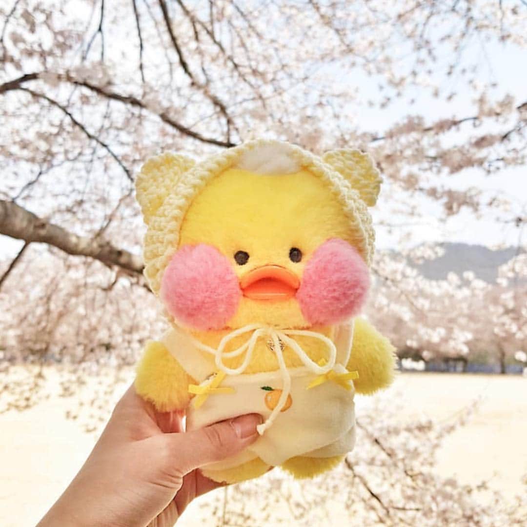 Chuuのインスタグラム：「빵빵츄 15차분양❤️오늘 낮 12오픈 🖐곧 만나요~~💕」